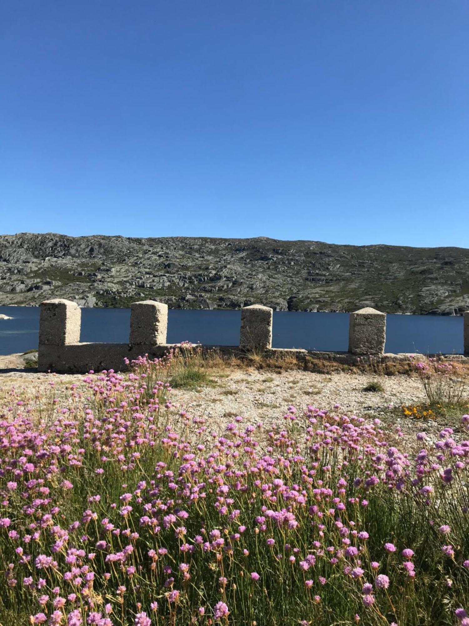 Senhora Da Estrela Al *